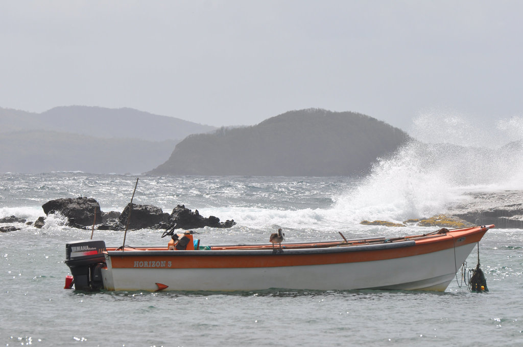 MARTINIQUE