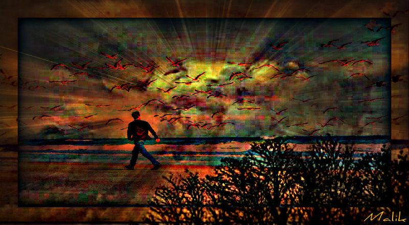 soleil couchant.