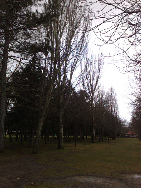 Invierno en Soria