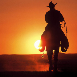 Coowboy at sunset Coowboy at sunset
