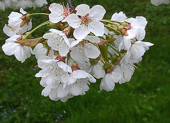 IMAG0911