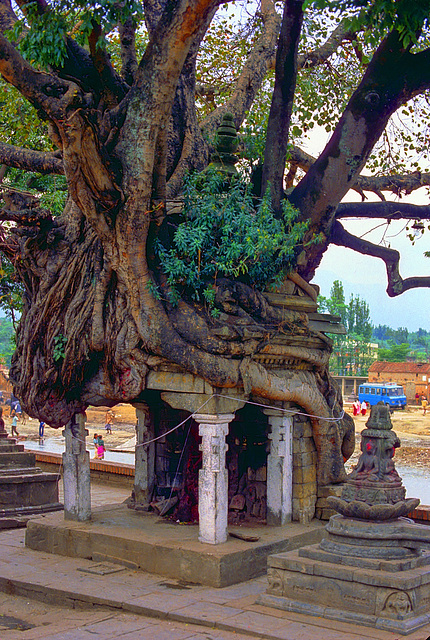 Kathmandu beside the Bagmati river