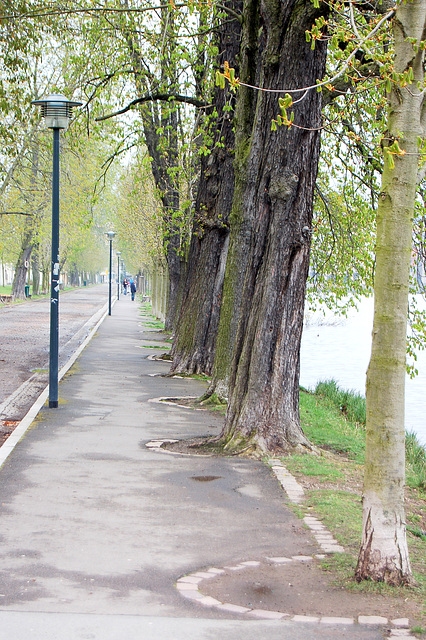 Ĉe  la Granda Lago en Altenburg