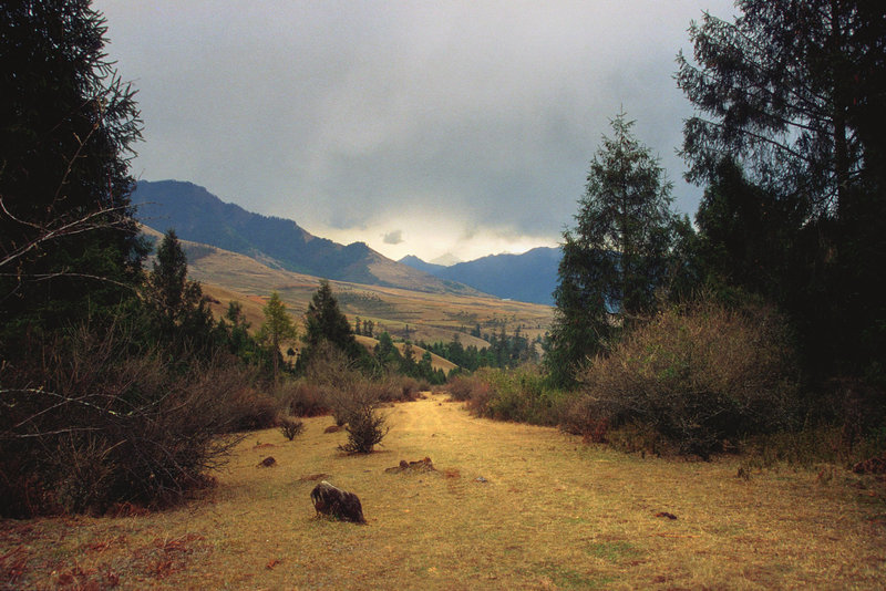 Landscape near Ujen Chholeng