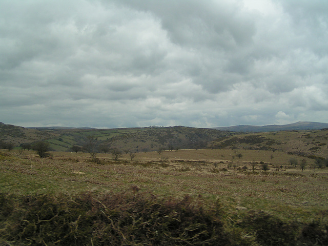 Dartmoor