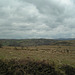 Dartmoor