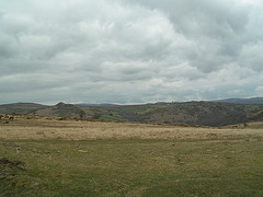 Dartmoor