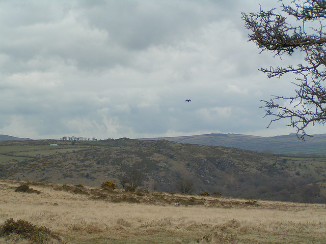 Dartmoor