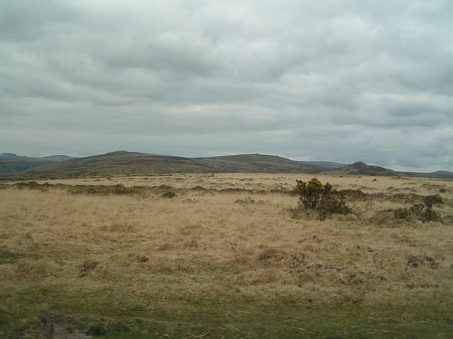 Dartmoor