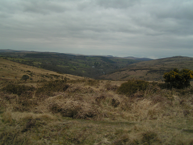 Dartmoor