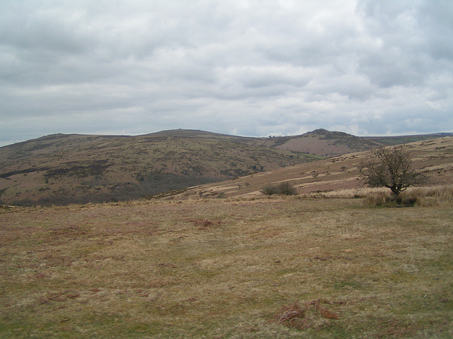 Dartmoor