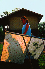 Drying rice paper sheets in the sun