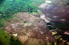 Sad view down to the Laotian landscape