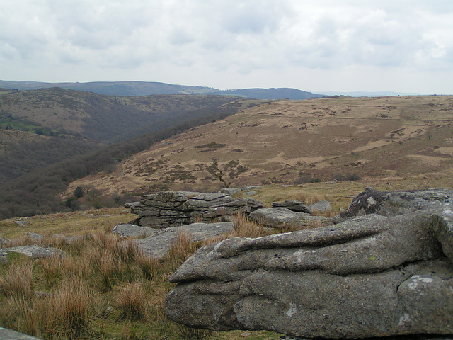 Dartmoor