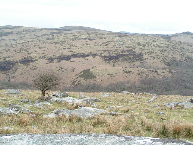 Dartmoor