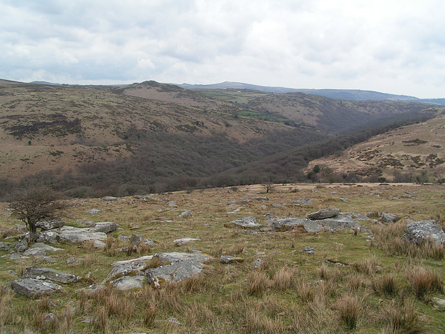 Dartmoor