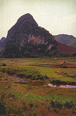 Landscape near the border of Viet Nam