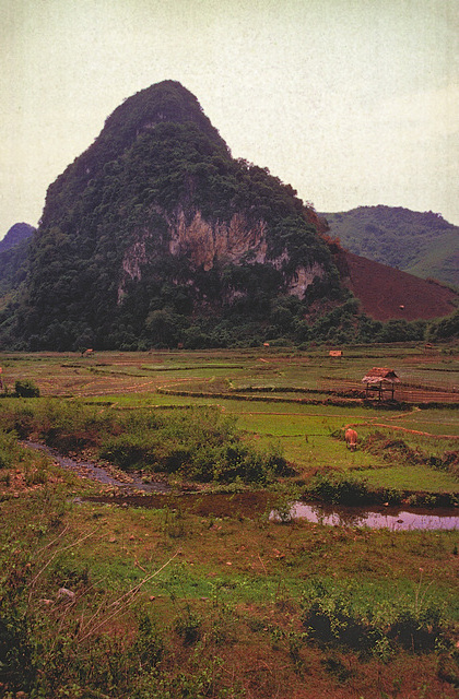 Landscape near the border of Viet Nam