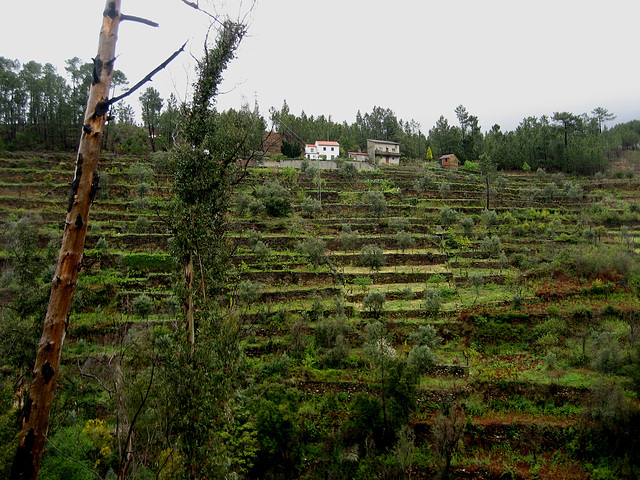 Serra da Estrela, ledges