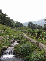 陽明山 (Yangmingshan)