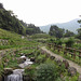 陽明山 (Yangmingshan)