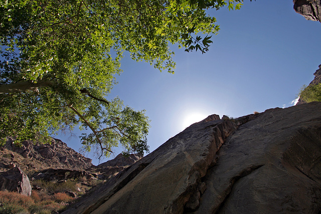 Tahquitz Canyon (1795A)