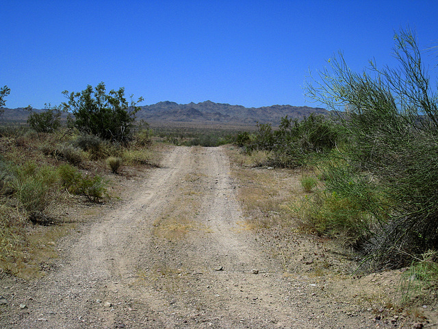 Bradshaw Trail (0499)