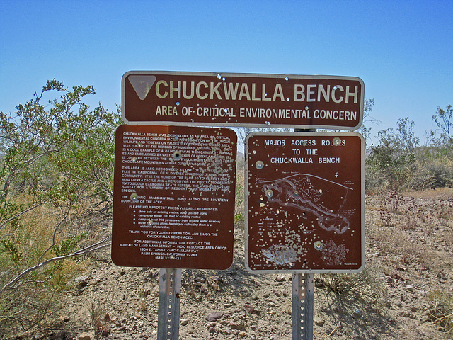 Chuckwalla Bench ACEC (0498)