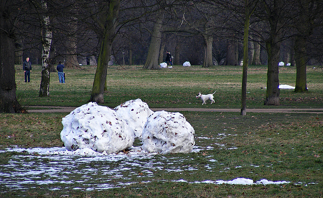 Disappearing corpses - The last of the snow men