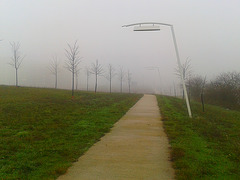 Niebla en el parque.