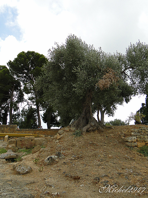 2012-07-24 Agrigento   102