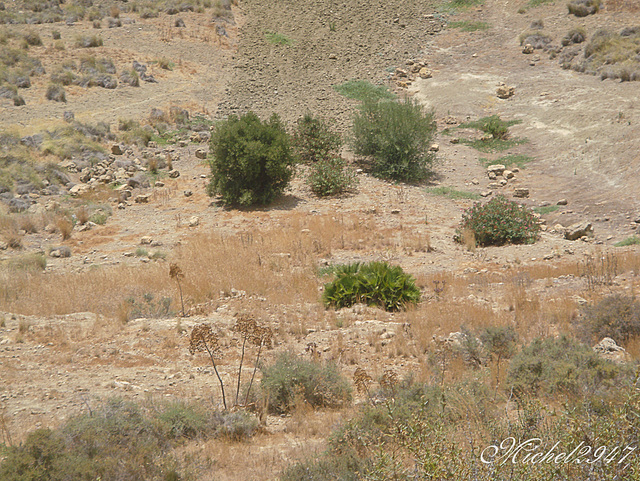 2012-07-24 Agrigento G  34