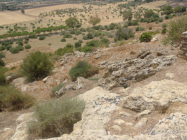 2012-07-24 Agrigento G  38