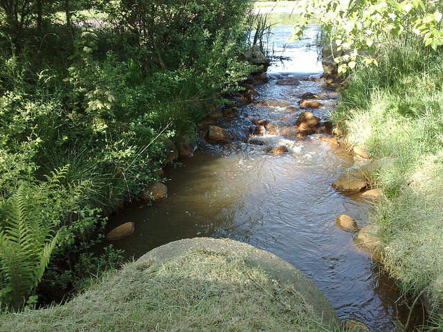 Spangsbjerg mill