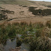 Dartmoor