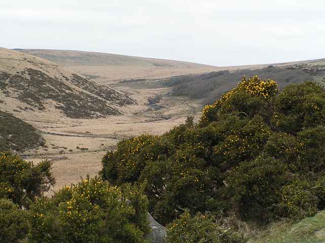 Dartmoor