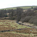 Dartmoor