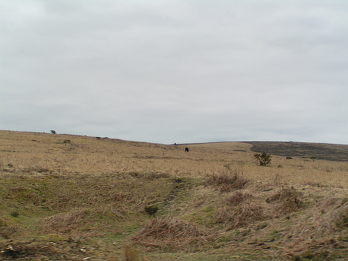 Dartmoor