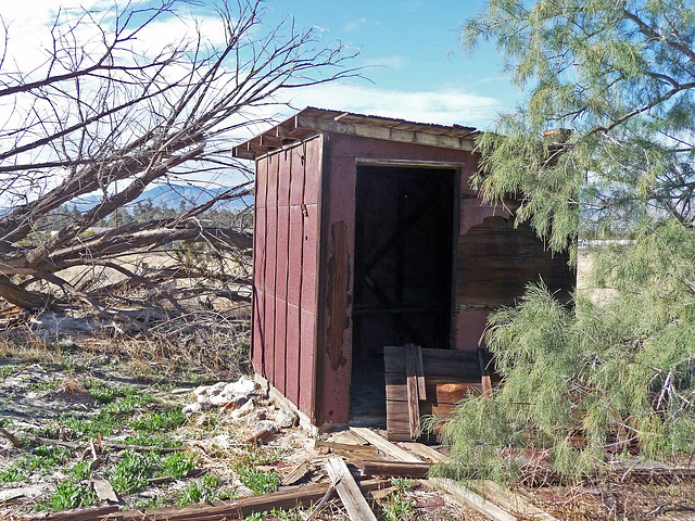 Shed (2702)