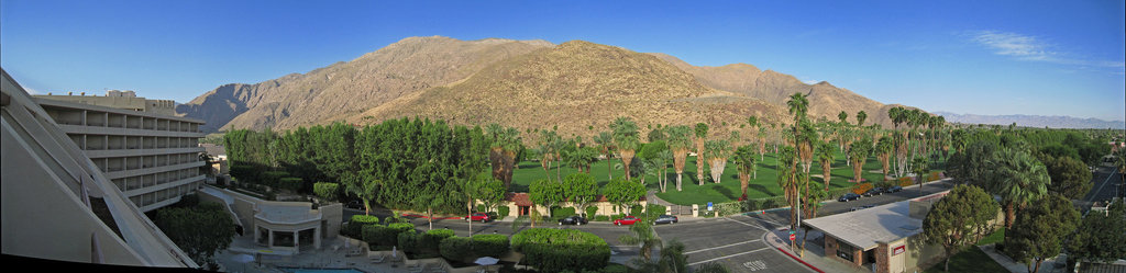 Hyatt View
