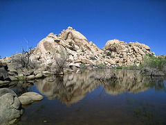 Barker Dam (0628)