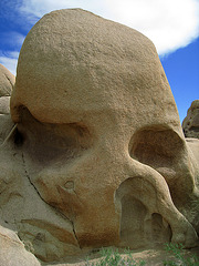 Skull Rock (0656)