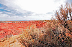 Painted Desert