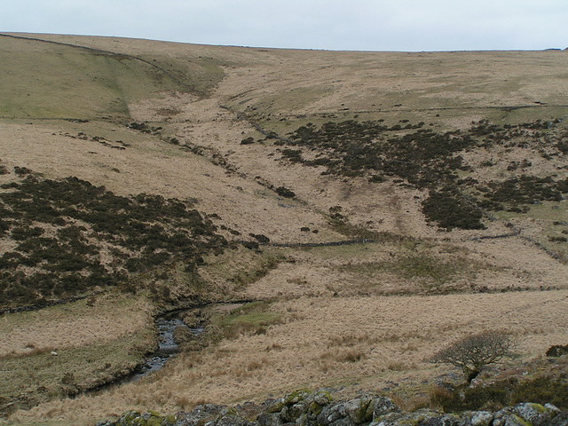 Dartmoor