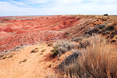 Painted Desert