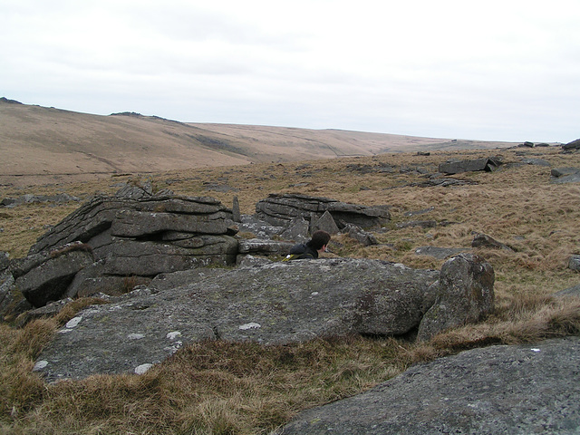 Dartmoor