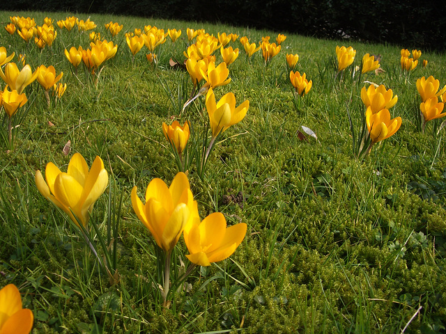 im Stadtpark von Bad Eilsen