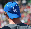 Los Angeles Dodgers Fan (1183)