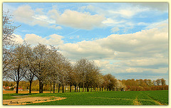 la campagne picarde la campagne picarde