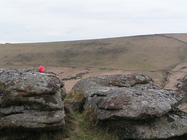 Dartmoor